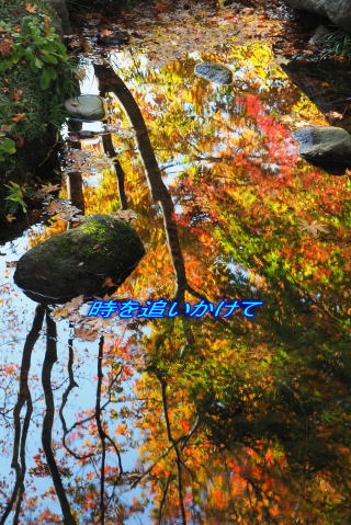      時を追いかけて