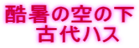 酷暑の空の下 　古代ハス