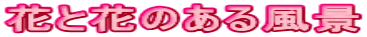 花と花のある風景