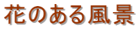花のある風景
