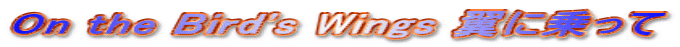 On the Bird's Wings 翼に乗って