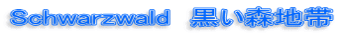 Schwarzwald　黒い森地帯