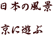 日本の風景  京に遊ぶ